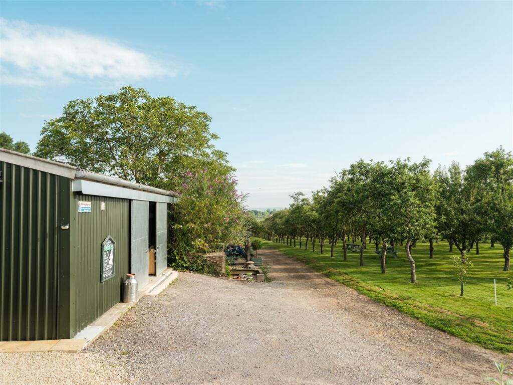 The Cidery.jpg