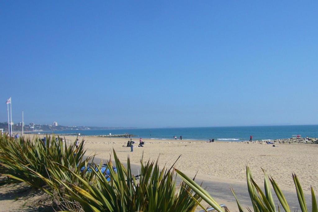 Nearby Beach
