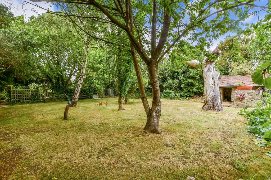 Front Garden