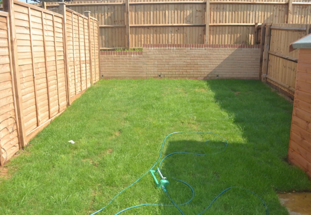 Picture16 (002)