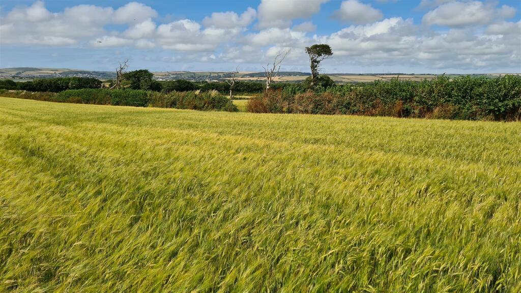 2023-07-13 15.58.51.jpg