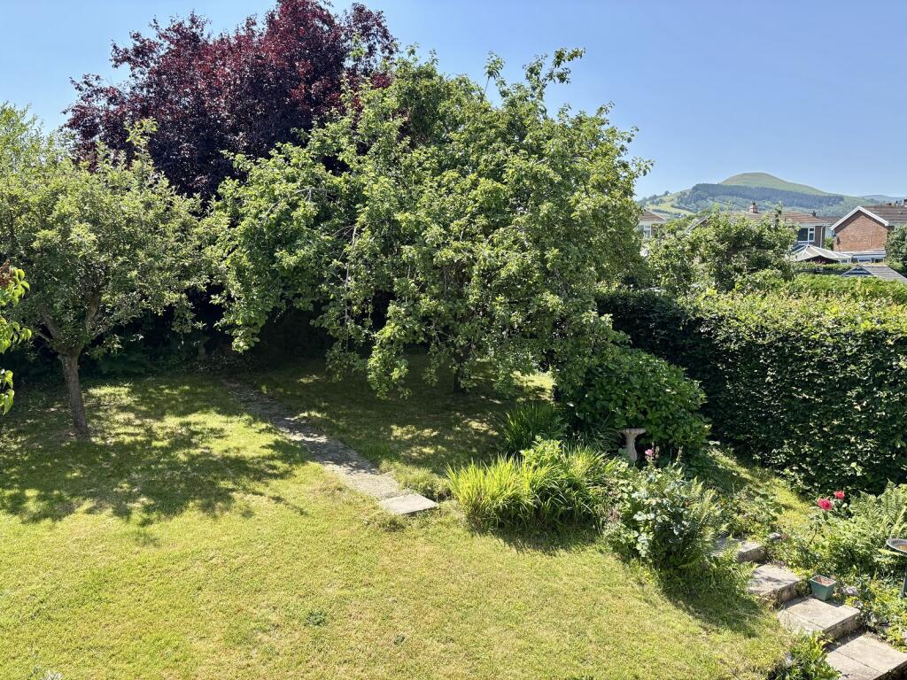 Garden Area