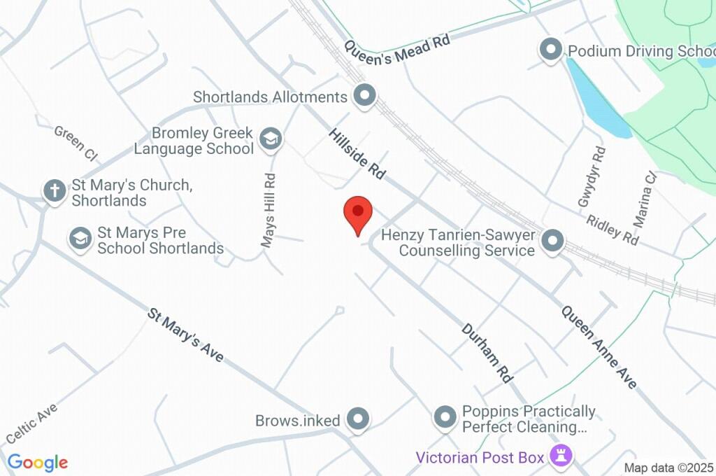 Google Maps Image