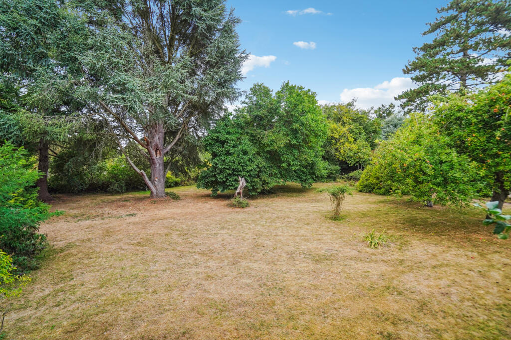 DSC08240-0f8b898db0e4a785dd29f44196cabe12