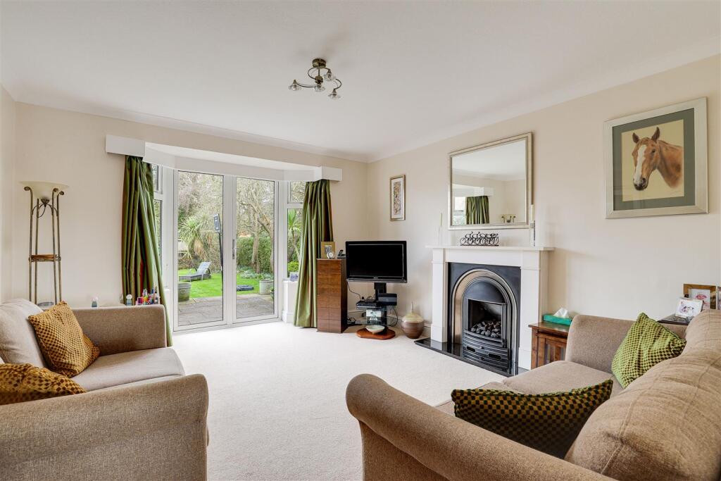 10162.jpg