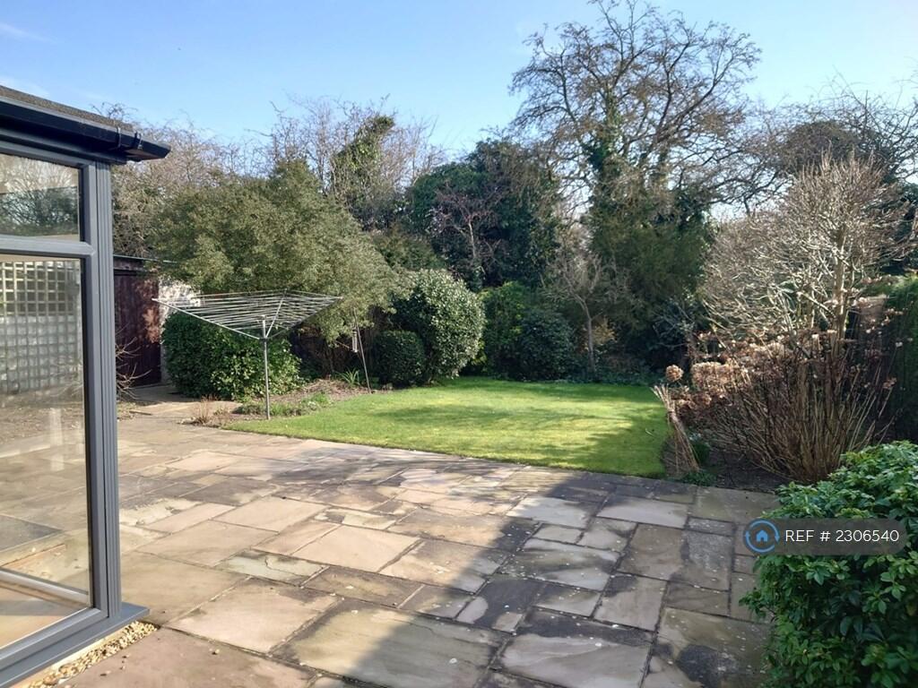 Back Garden