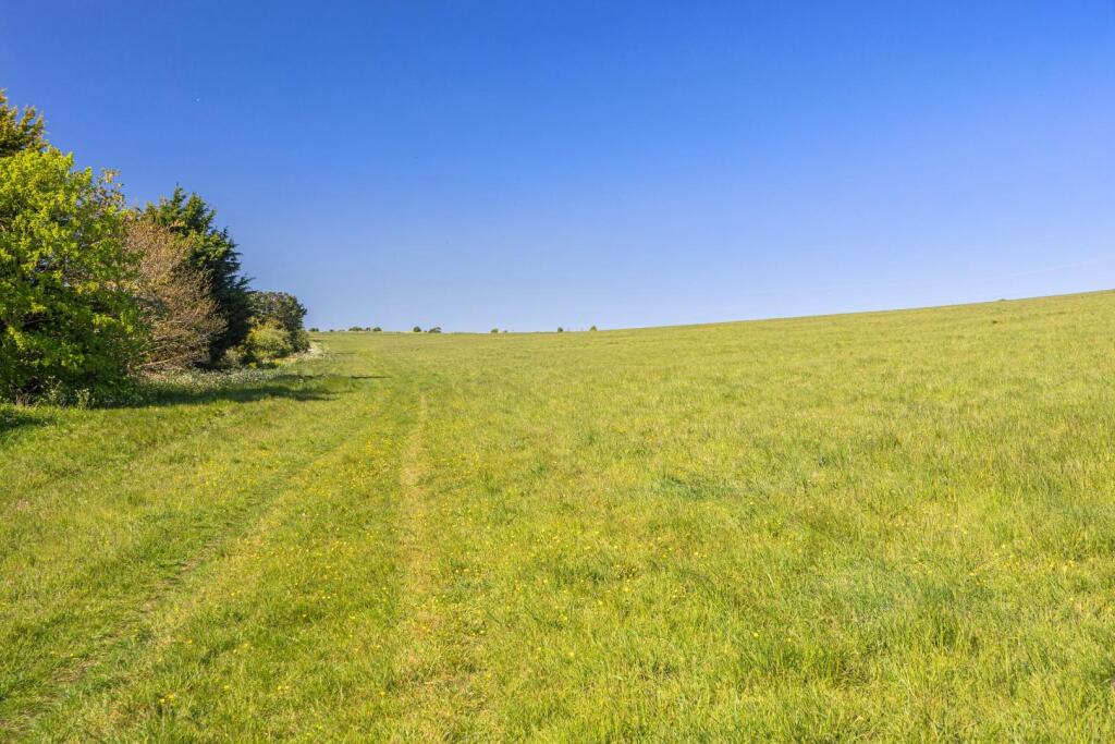 south downs (1).jpg