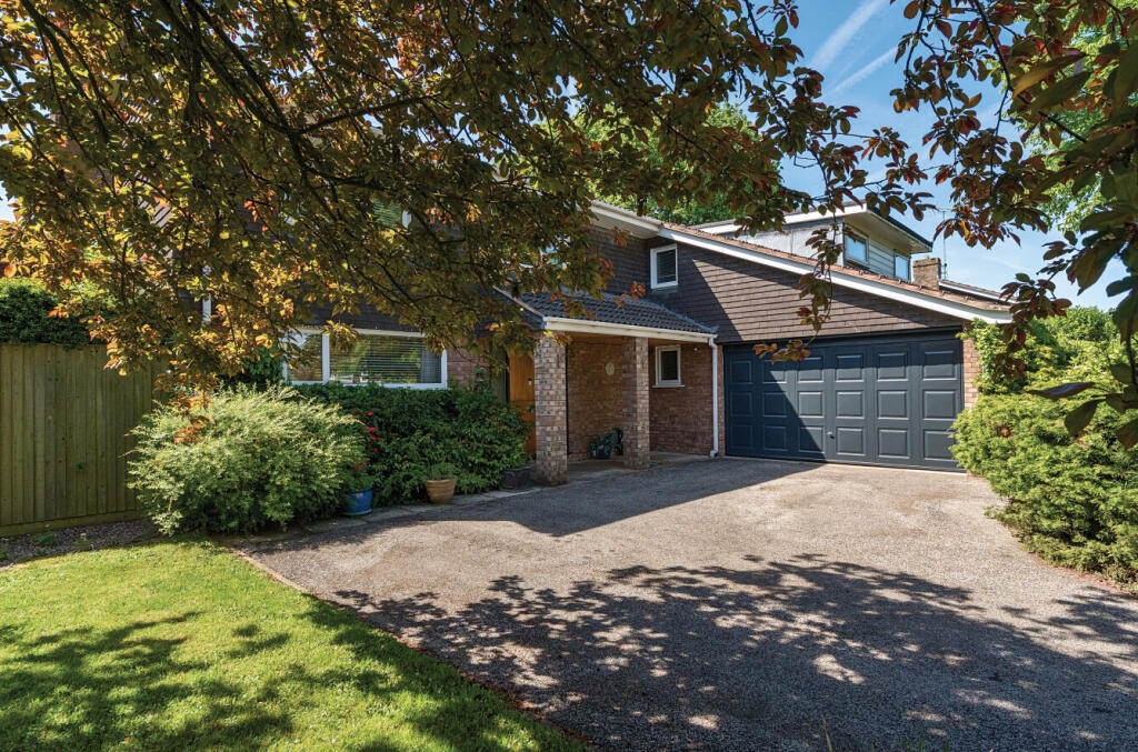 2-681c9cf8e6e7e-1...