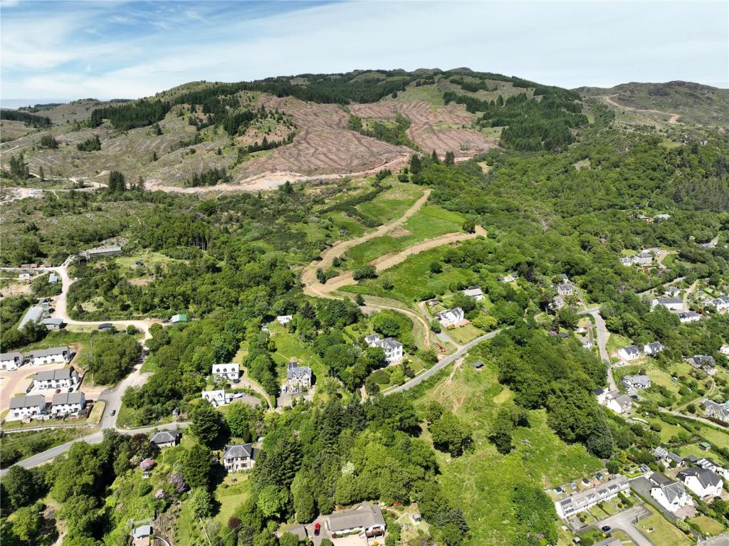 Site Looking North