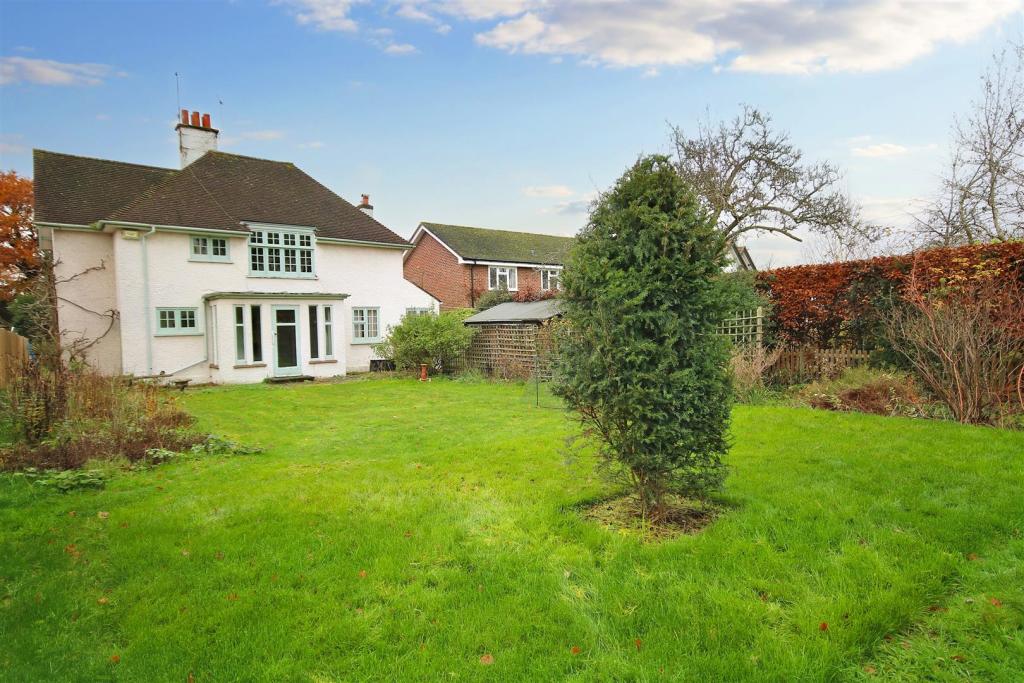 Chosen back garden .JPG