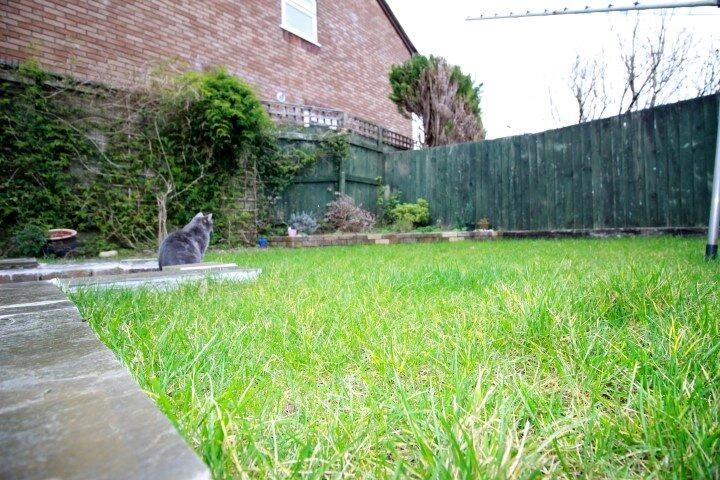 part of the garden