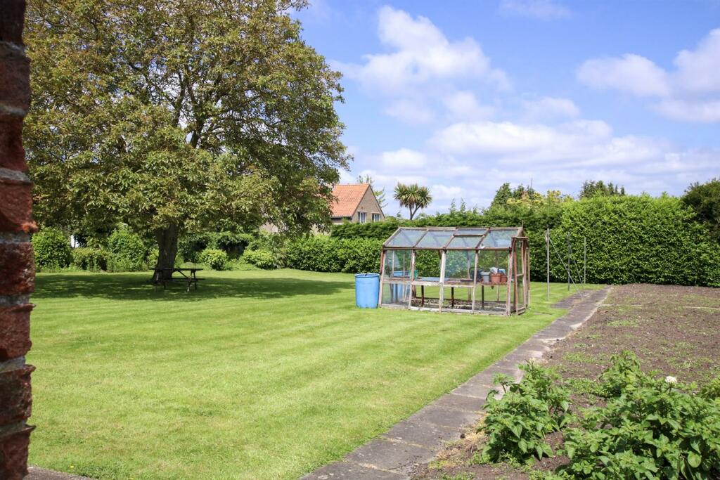IMG_4559.jpg