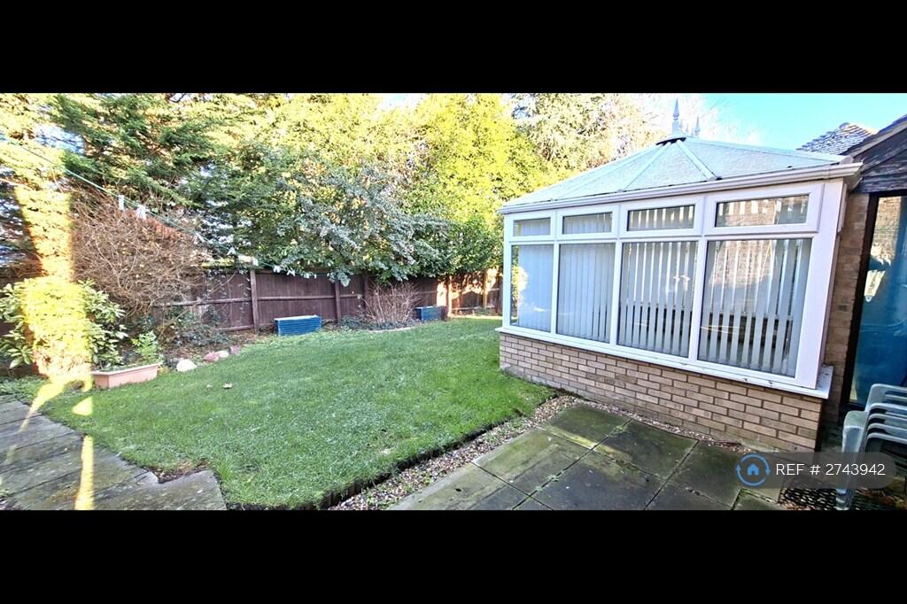 Back Garden