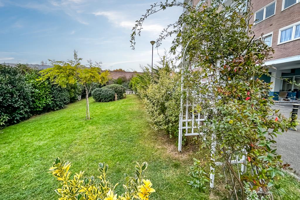 Communal Garden