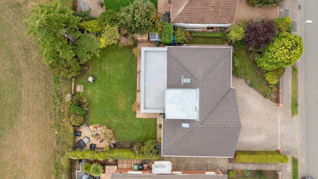 DJI_0742.jpg