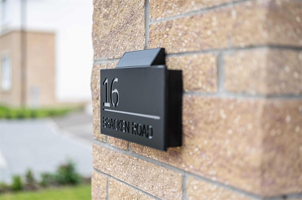 untitled (5 of 1).JPG