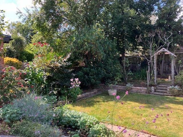 photo garden.jpg