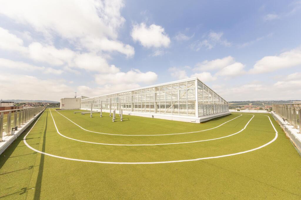 Communal roof terrace