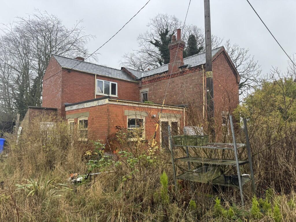 2  Medium  T202512051317.jpg