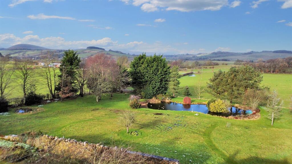 View over garden