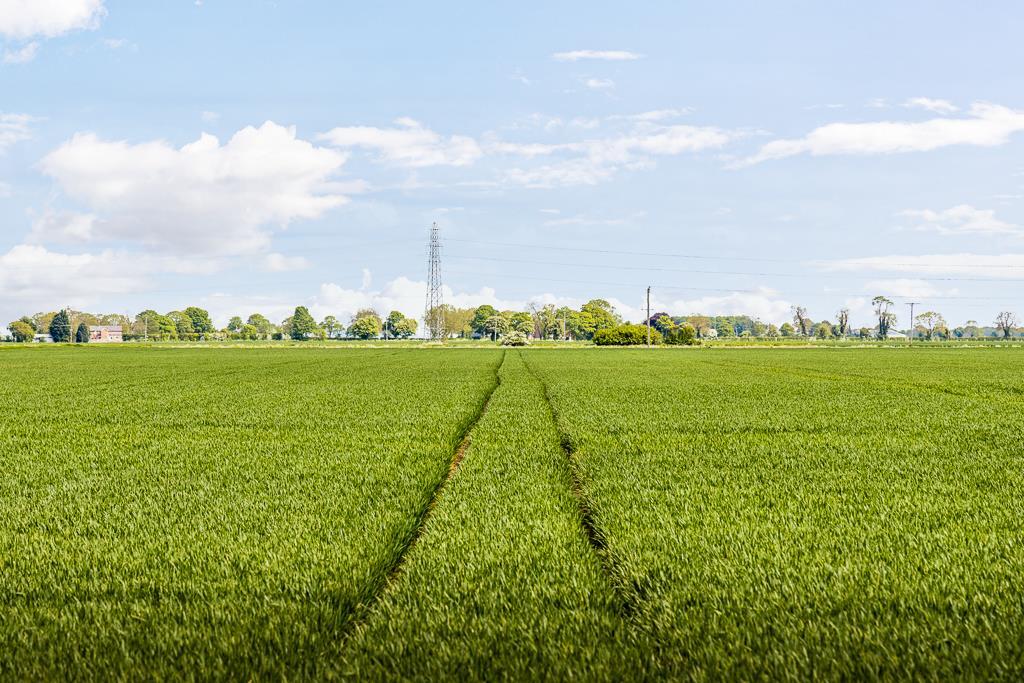 23 Keightley Road (Holbeach)-1.jpg