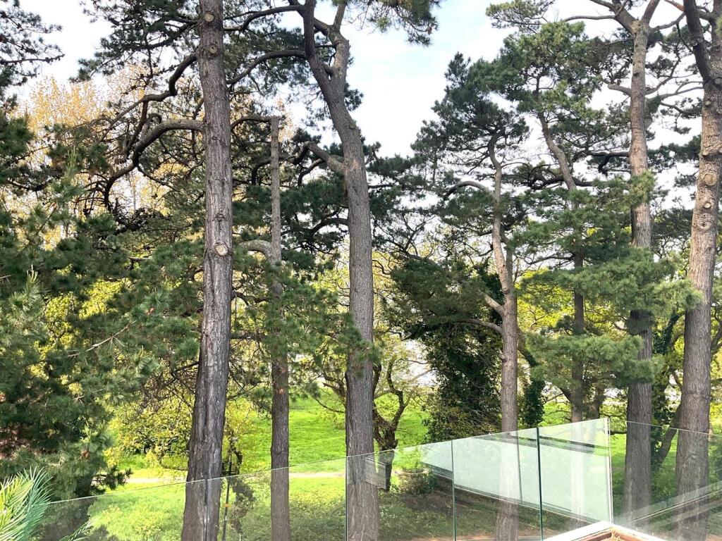 new view2.jpg