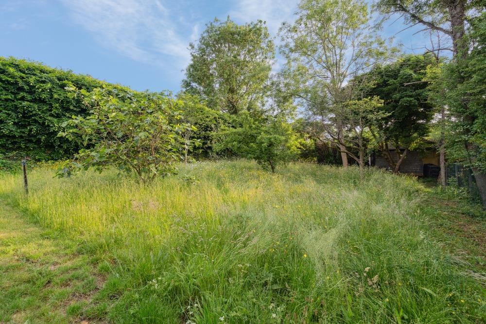 DSC09591 - 800px.jpg