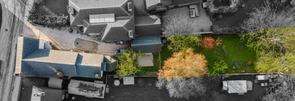 Plot View