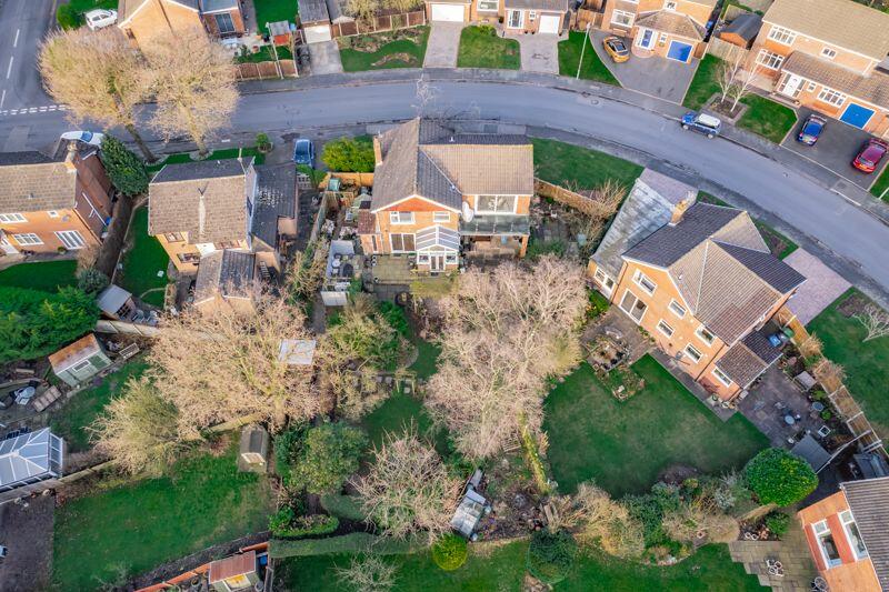 Elevated Plot View