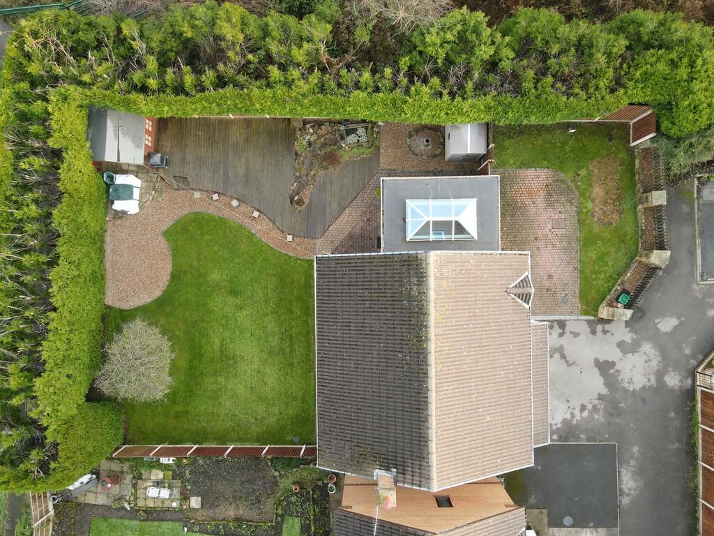 aerial
