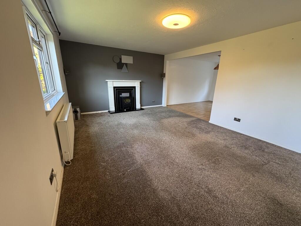 image3 (2)