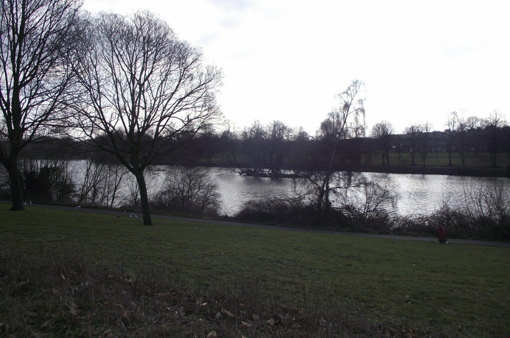 DSCF4993.JPG