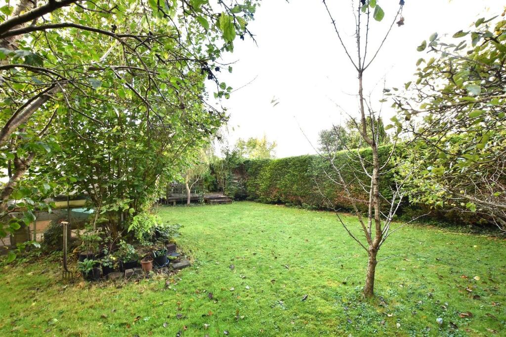 z1ucrUvpTUSGGa68L0V9Hg.jpg