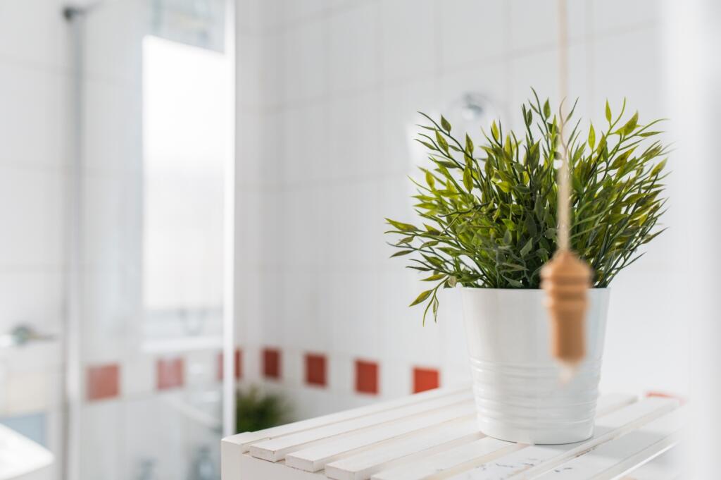 Call 02920 454555 to secure your viewing_14