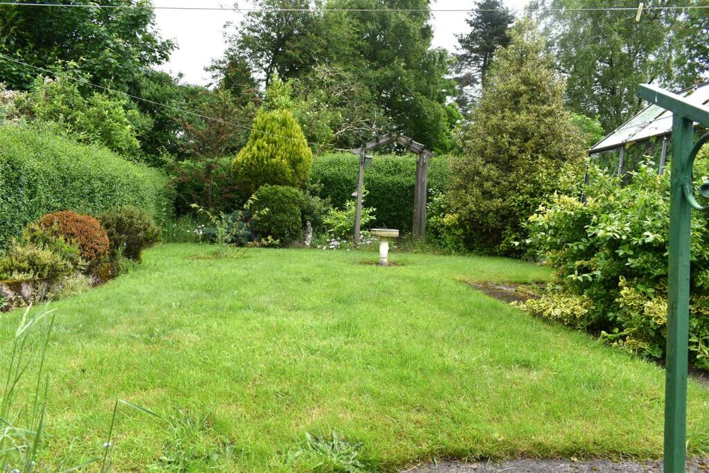 rear garden 3.JPG
