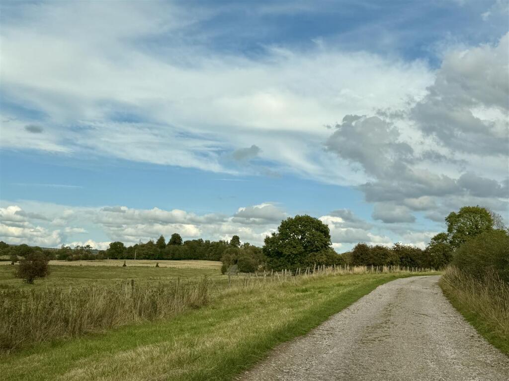 IMG_7586.jpeg