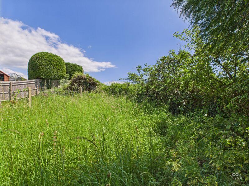 Back garden