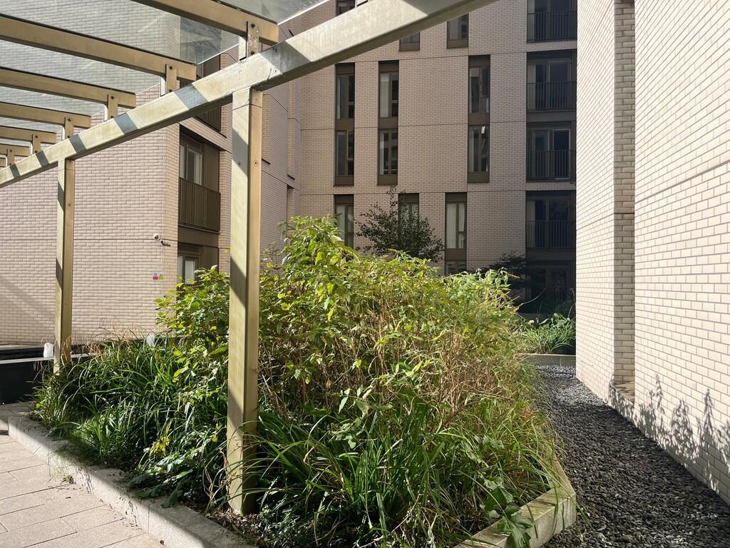 image11