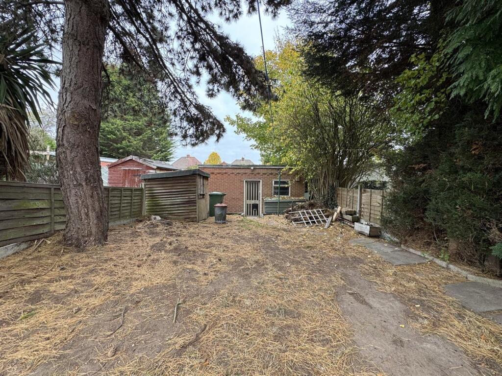 IMG_3585 (Large).JPG