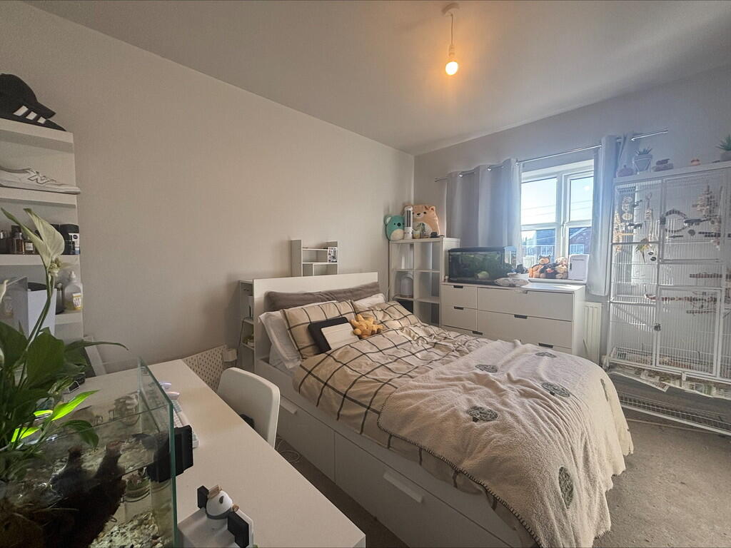 processed-EF8B356...