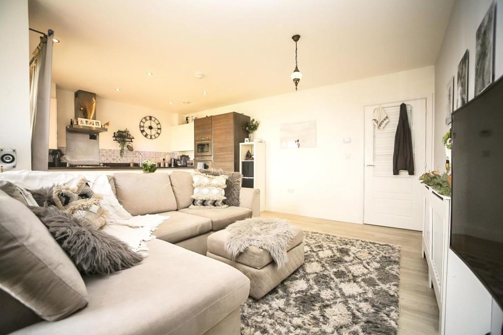 Lounge / Kitchen