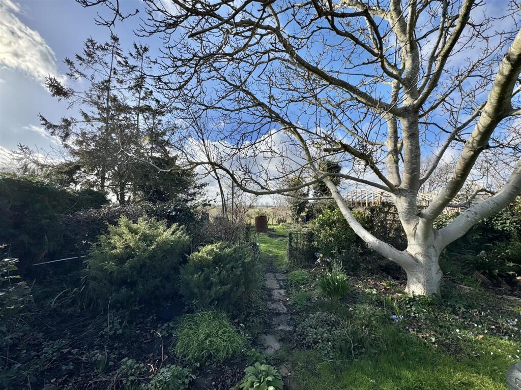 IMG_2425.jpeg