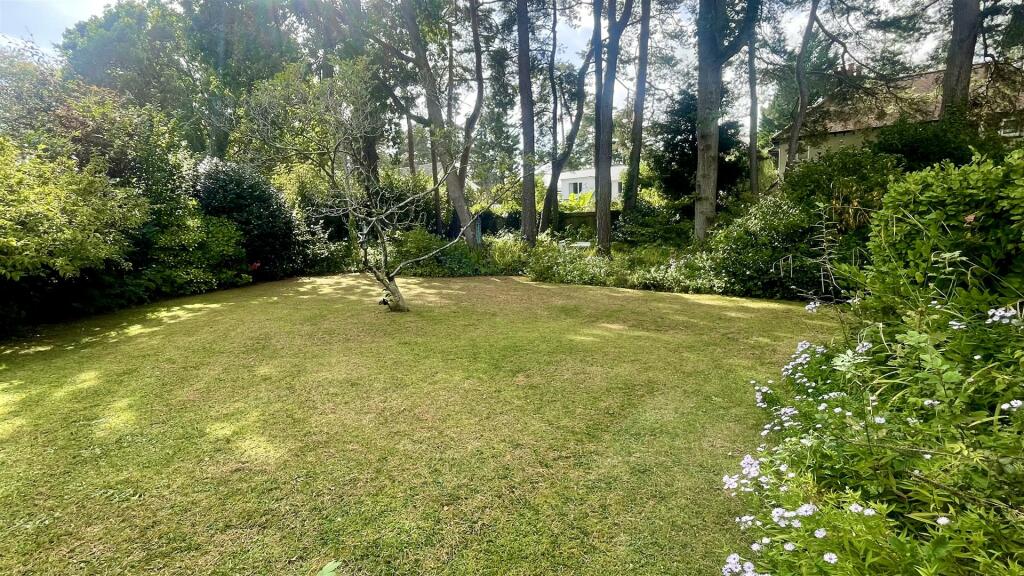 Garden Rear