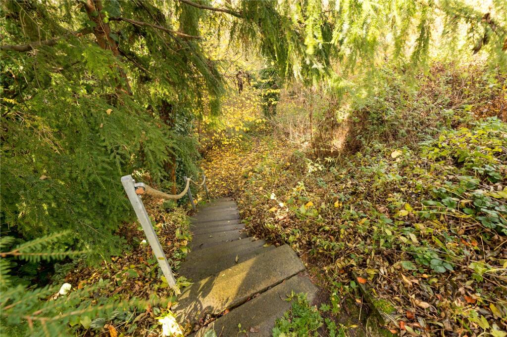 Steps To Woodland