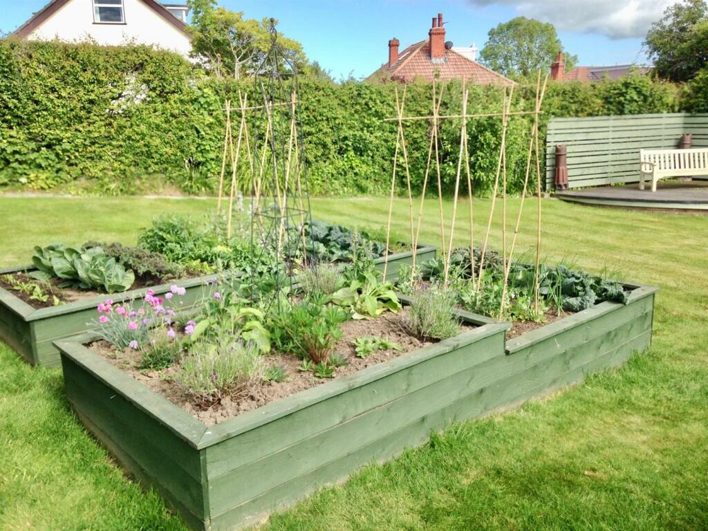 PHOTO-2024-01-28-21-59-36 (6).jpg