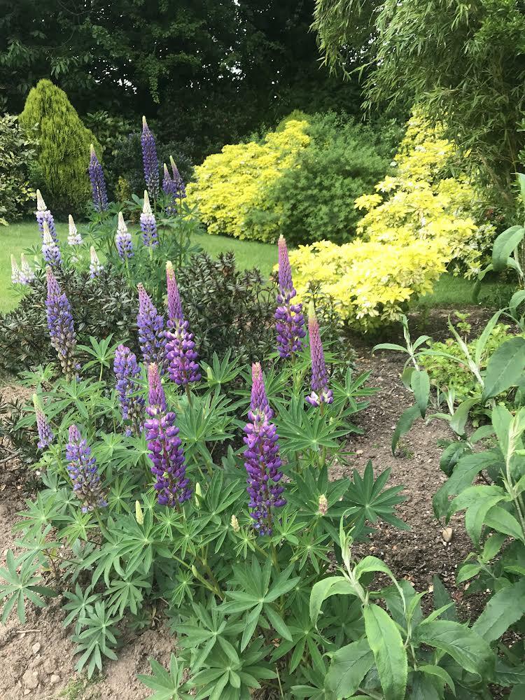 Gardens