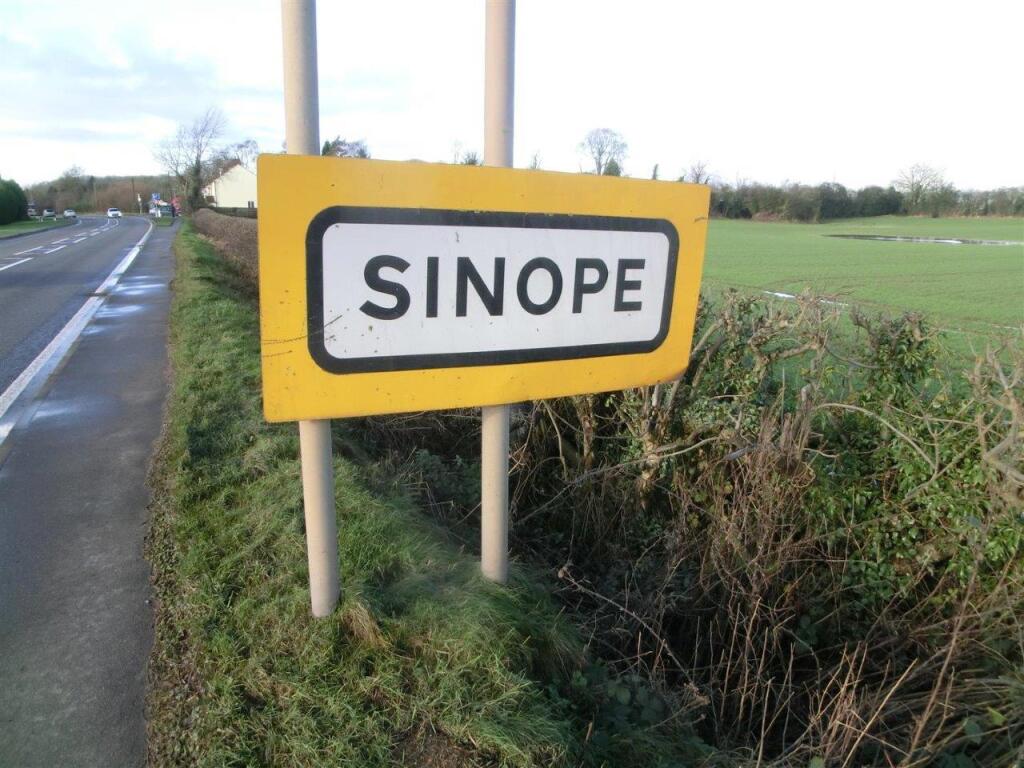Sinope (Large).jpg
