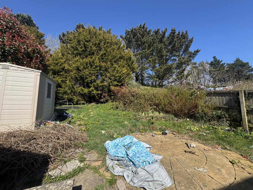 IMG 7887 T202504192100.jpg