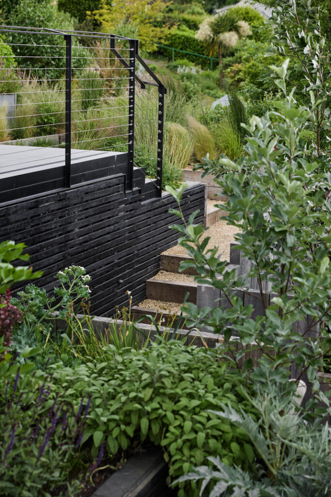 289138 - DGLA0468.jpg