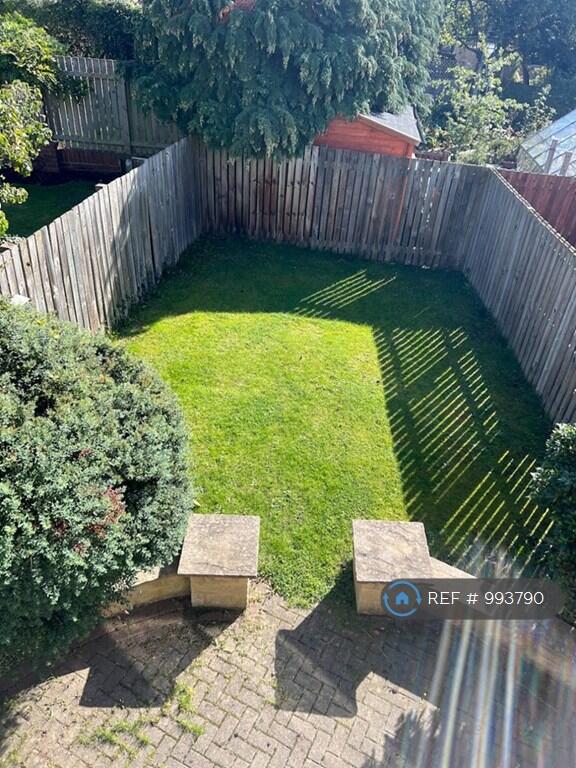 Back Garden 